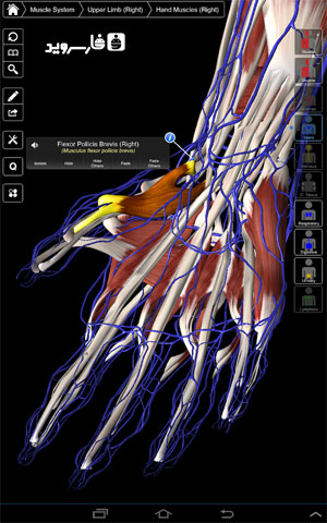 نرم افزار آناتومی جامع اندروید - Essential Anatomy 3 Android