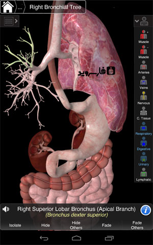 نرم افزار آناتومی جامع اندروید - Essential Anatomy 3 Android