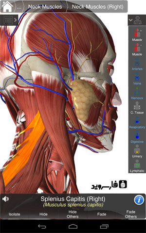 نرم افزار آناتومی جامع اندروید - Essential Anatomy 3 Android