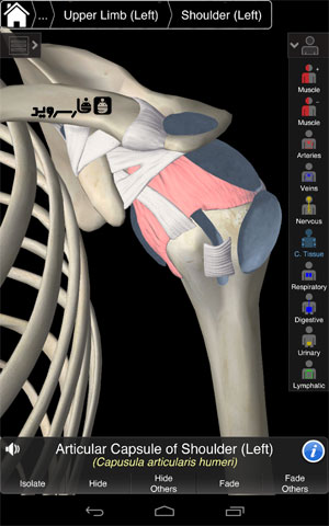 نرم افزار آناتومی جامع اندروید - Essential Anatomy 3 Android