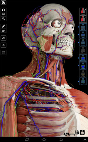 نرم افزار آناتومی جامع اندروید - Essential Anatomy 3 Android