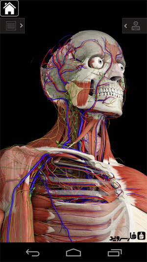 نرم افزار آناتومی جامع اندروید - Essential Anatomy 3 Android