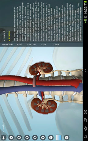 دانلود Anatomy 3D Pro – Anatronica 2.07 – آناتومی بدن انسان اندروید