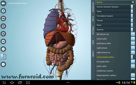 Download Anatomy 3D Pro – Anatronica Android