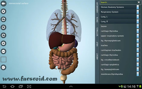 Download Anatomy 3D Pro – Anatronica Android