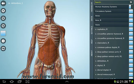 Download Anatomy 3D Pro – Anatronica Android