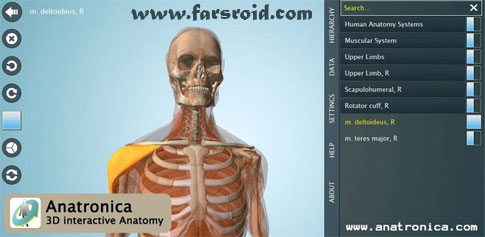 دانلود Anatomy 3D Pro – Anatronica - آناتومی بدن انسان اندروید