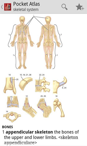 دانلود Atlas of Anatomy 4.3.059 – اطلس آناتومی کامل اندروید !