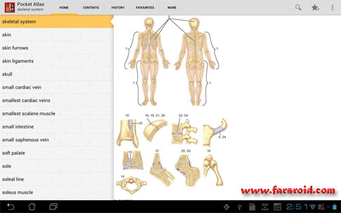 دانلود Atlas of Anatomy - اطلس آناتومی کامل اندروید !