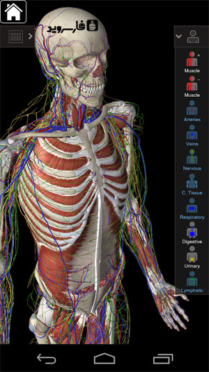 نرم افزار آناتومی جامع اندروید - Essential Anatomy 3 Android