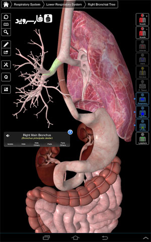 نرم افزار آناتومی جامع اندروید - Essential Anatomy 3 Android